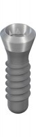 Имплантат Tissue Level Standart Plus 3.3 х 10 (RN) 043.261S - фото 28108